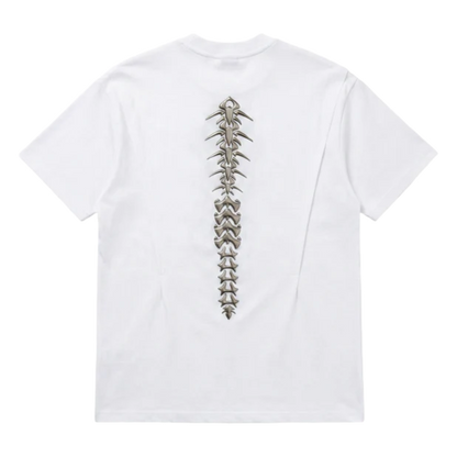Spine-9